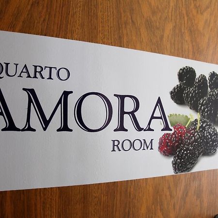 Alto Do Ipiranga Hostel 圣保罗 外观 照片